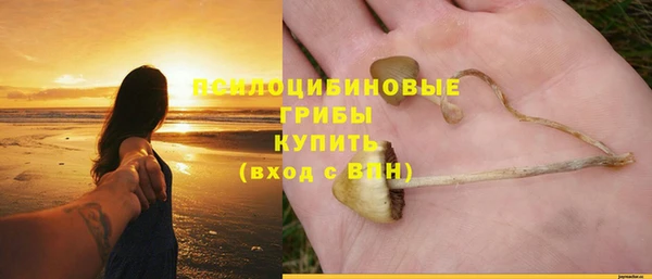 ПСИЛОЦИБИНОВЫЕ ГРИБЫ Бронницы