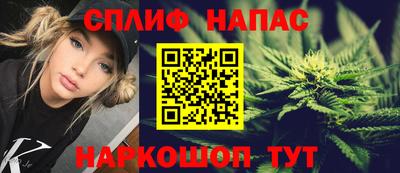 скорость Гагарин