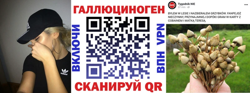 сайты даркнета Telegram  Чистополь  Галлюциногенные грибы Psilocybe 