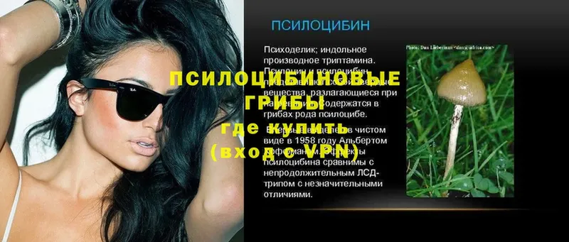 Галлюциногенные грибы мицелий  Чистополь 