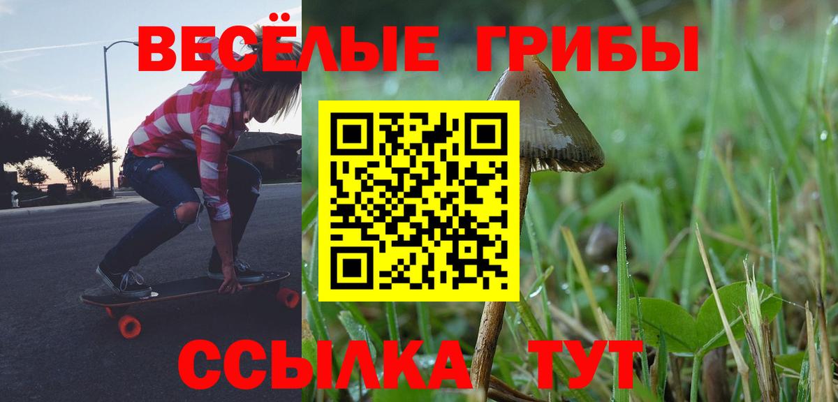 Галлюциногенные грибы прущие грибы Чистополь